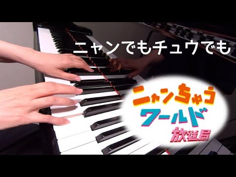 ニャンでもちゅうでも　ニャンちゅうワールド放送局　ピアノ