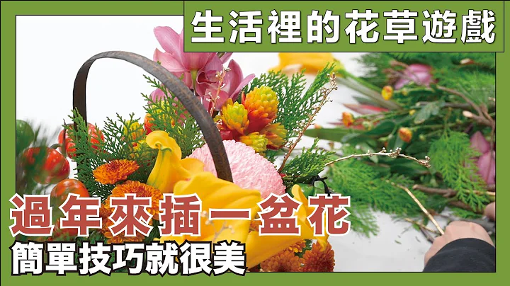 超疗愈，新手零技巧也能插好一盆过年年花。挑选最有年味的花与花材，掌握层次技巧简单搭配就很美│生活里的花草游戏 - 天天要闻