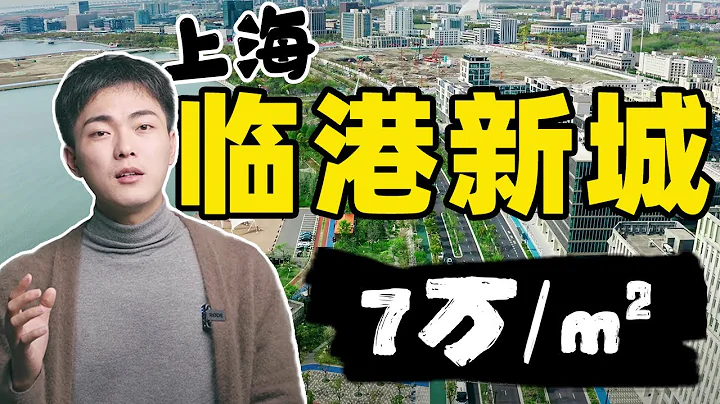 4000亿造出个乌托邦？人气垫底、房价起飞，上海临港新城靠谱吗？| 杨六娃本娃 - 天天要闻