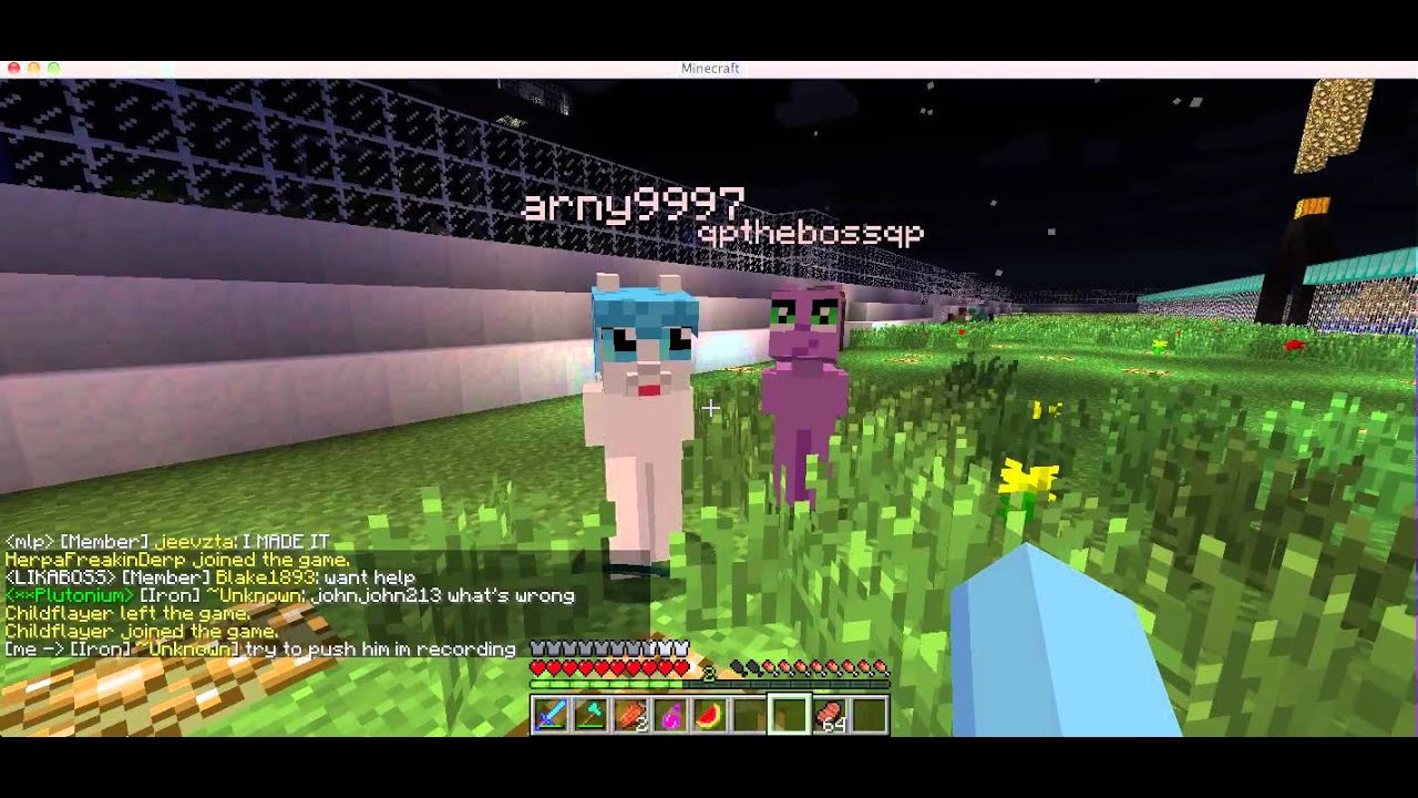 arny9997 hacking (nopush)