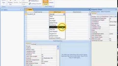 MS Access 2007 Part3   free Tutorial Urdu and Hindi language by Microsoft Office
