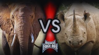 Animal Face-Off Elephant Vs Rhinoceros Full Battle