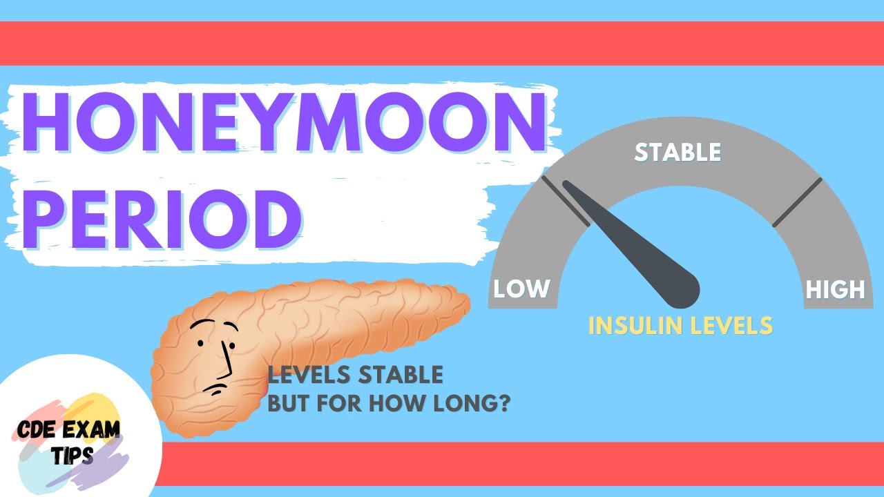 Honeymoon Period Cde Exam Tips Youtube