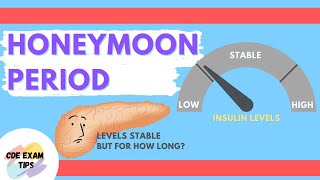 Honeymoon Period | CDE Exam Tips