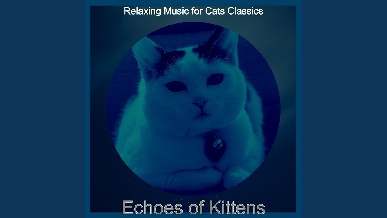Refined Music for Relaxing Cats
