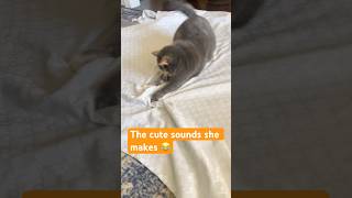 Cutest playmate ever