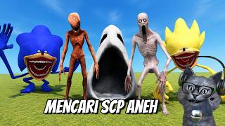 Mencari SCP Yang Aneh VS Sonic Tapes & Robot Prototype - SCP Morphs (Roblox Indonesia)