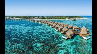 Discover Mercure Maldives Kooddoo Resort | Voyage Privé