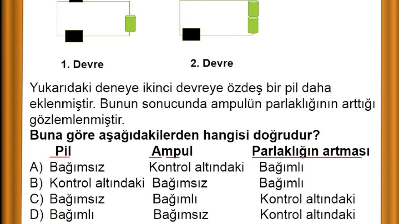 BA IMLI BA IMSIZ VE KONTROL ED LEN DE KENLER 5 SINIF FEN B L MLER ba-imli-ba-imsiz-ve-kontrol-ed-len-de-kenler-5-sinif-fen-b-l-mler
