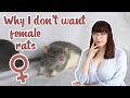 Why I don't want to own female rats | Q&A