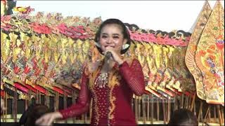 Jarum Jarum || Sekar Bima Dalang Ki Eko Suwaryo Live Kanding