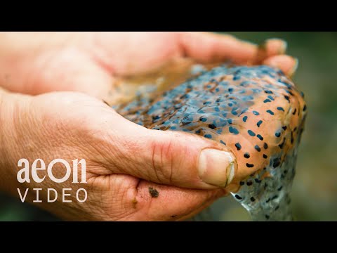 Getting over my self-doubt by revisiting abandoned film ideas | Film About