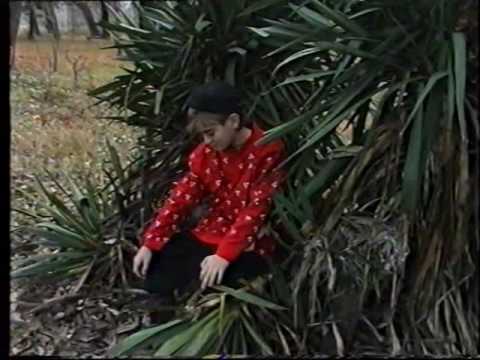 სალამურას თავგადასავალი