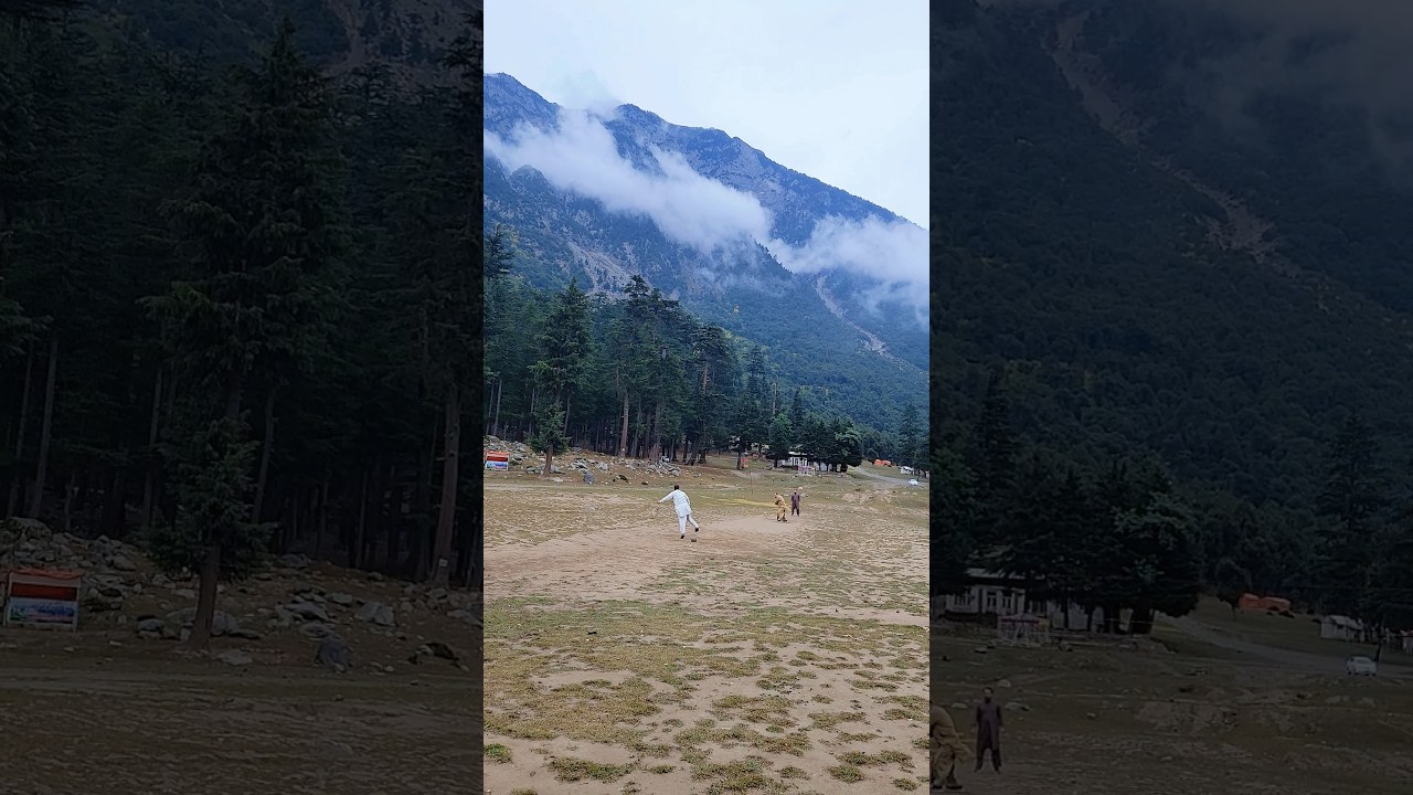 Swat kalam Forest 🌲🌲 