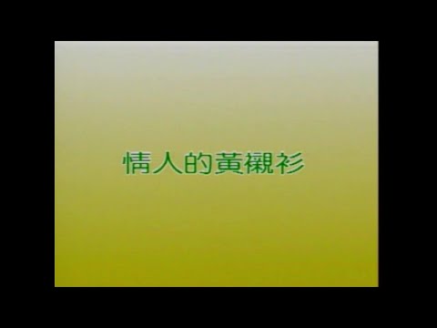 风格群星 - 情人的黄衬衫【金曲老歌 卡拉OK流行榜】