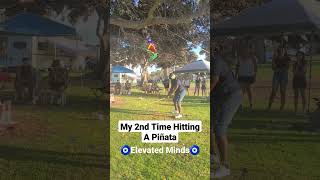 I Went Crazy On This Piñata! 🪅🤣 #pinata #party #fun #fyp #summer