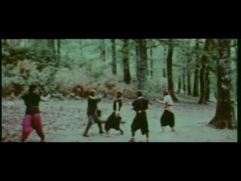 Excerpt From Pugni Pirati E Karaté Joe D Amato 1973 Karate Fighting Italian Style 