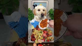 Who says dogs can’t have a 15-course fine dining menu? 🐶✨😱 #shorts #viral #puppy #foryou