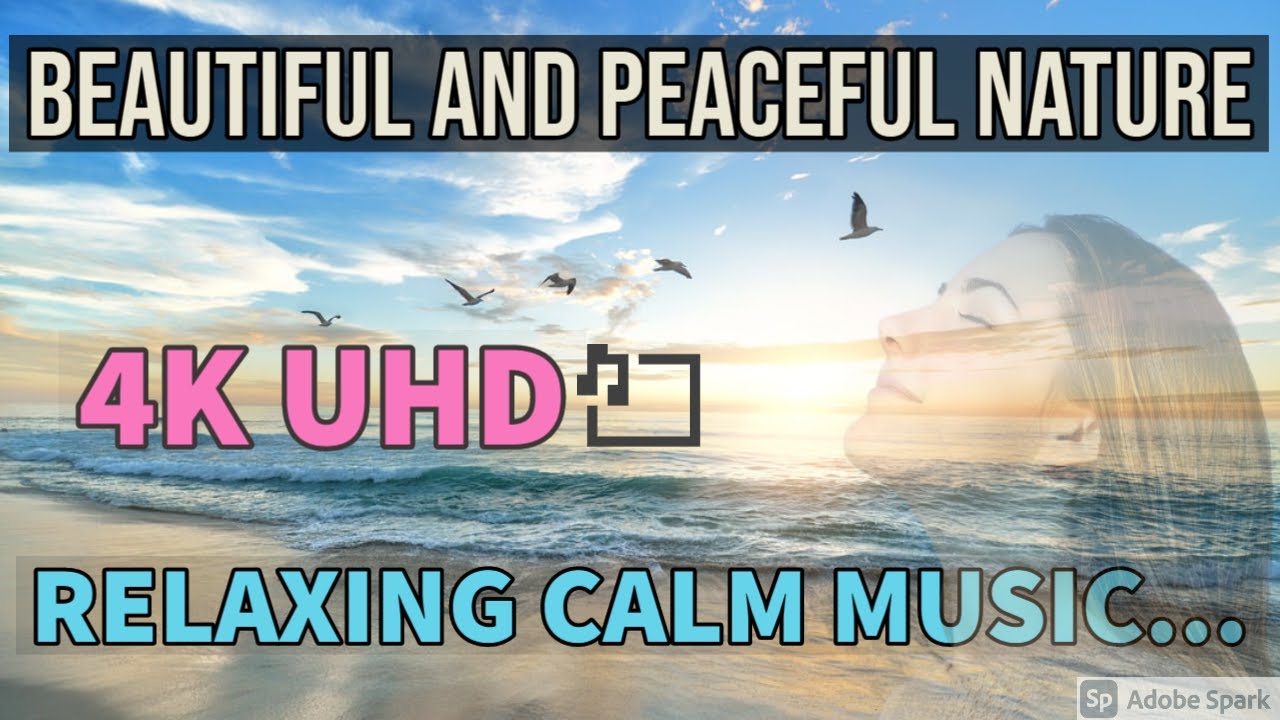 BEAUTIFUL AND PEACEFUL NATURE | Download Royalty Free Vlog Music [Free Copyright-safe Music]