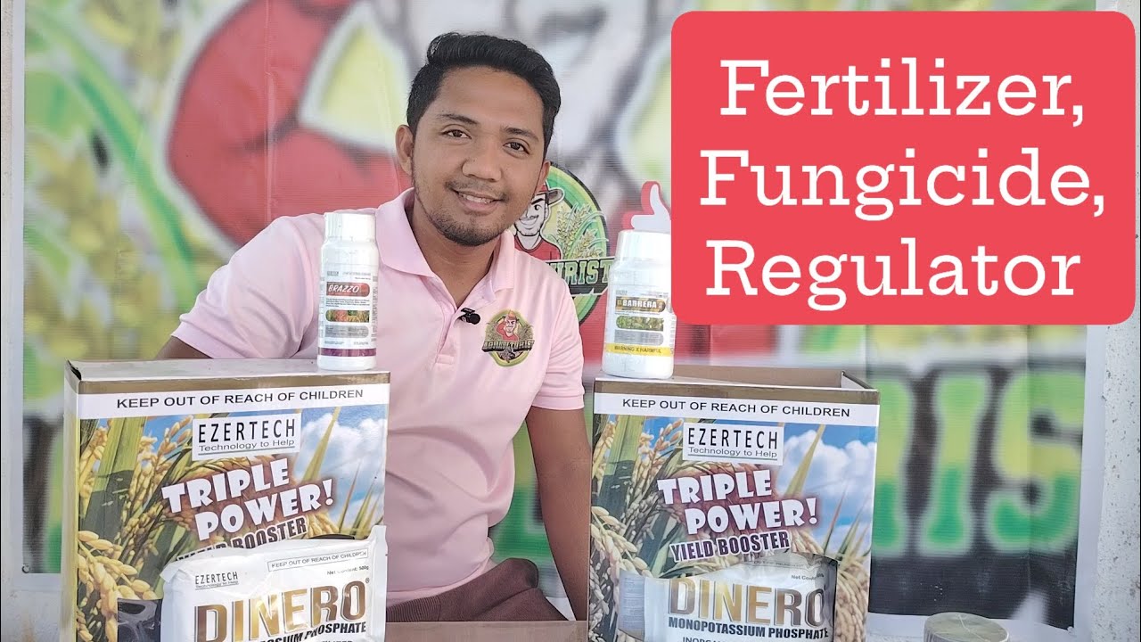 FERTILIZER, FUNGICIDE AT PLANT GROWTH REGULATOR |Tri-Pack Triple Power | Ezertech Corporation