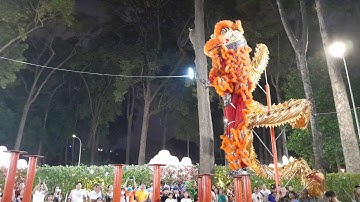 Biểu diễn lân sư rồng | Công viên tao đàn mùng 1 tết Quý Mão