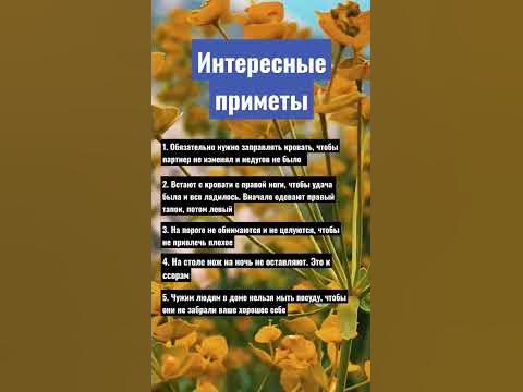Интересные приметы, которые стоит знать - YouTube