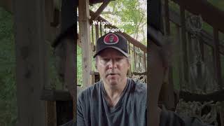 Waigong, neigong, qigong in Chinese martial arts