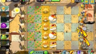 Pvz 2 Thyme Warp & D Leaf In Ancient Egypt