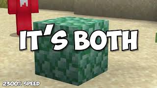 31 Minecraft Facts You Maybe Missed