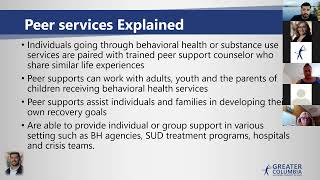 Learning Collaborative on the Role of Peer Supports (Part 1) Net Worth