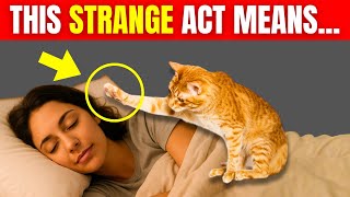 10 STRANGEST Things Your Cat Does While You’re Sleeping | Cat Behavior Explained