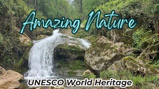 Exploring the Most Beautiful Place on Earth, Forest Nature Sounds No Music, UNESCO Heritage Site