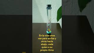 Download Lagu El ritmo de la vida MP3