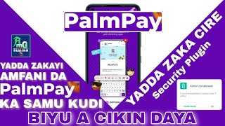 Yadda Zaka Samu Kudi A Palmpay Da Kuma Yadda Zaka Cire Security Plugin A Palmpay screenshot 3