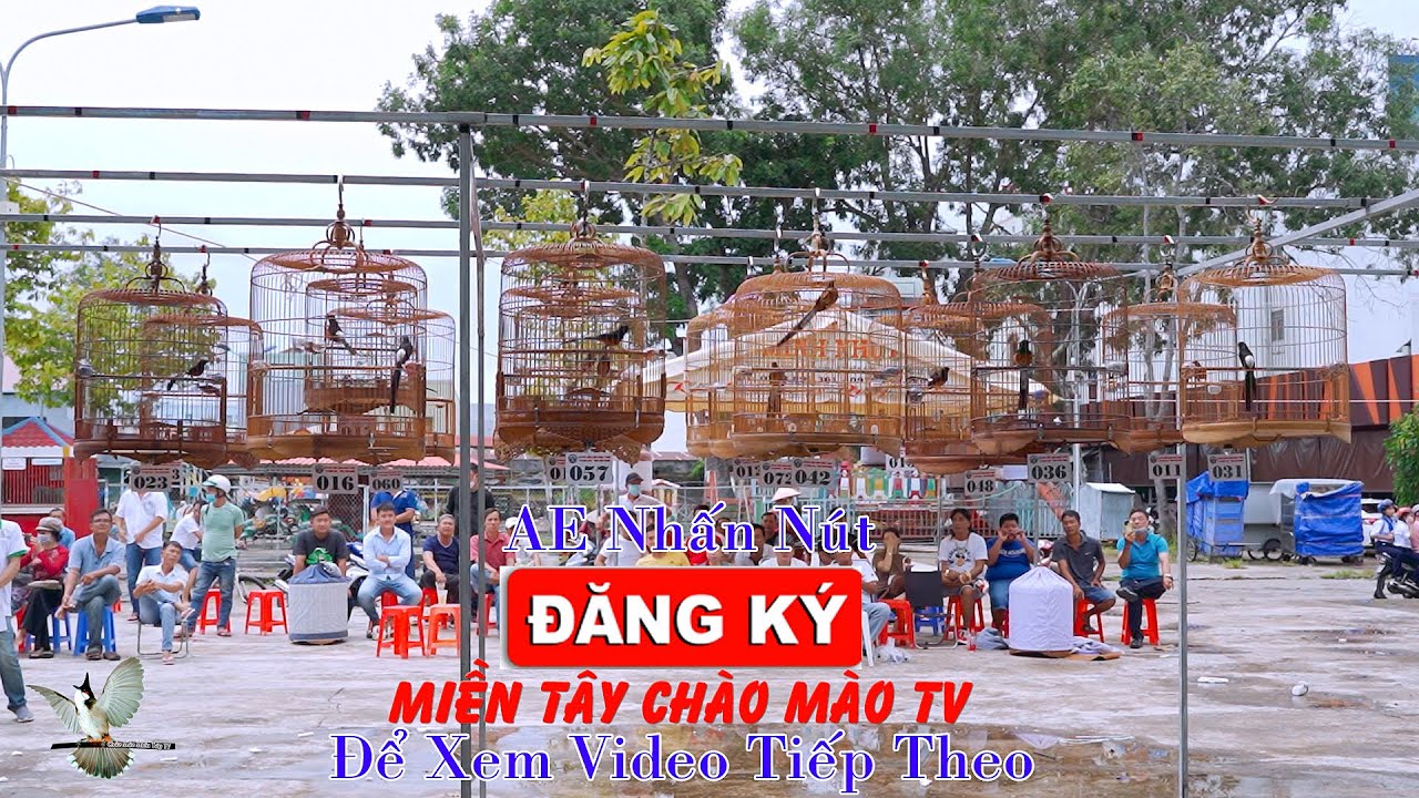Cuộc Thi Chích Chòe Lửa Tại Kiên Giang 18/09/2022