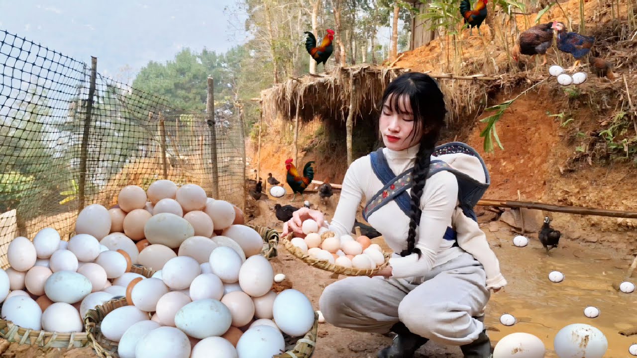 The girl harvests duck and chicken eggs and then processes them into unique dishes.