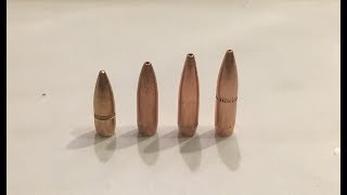 Go to round for 223 (55 vs 62 vs 69 vs 77 grain)