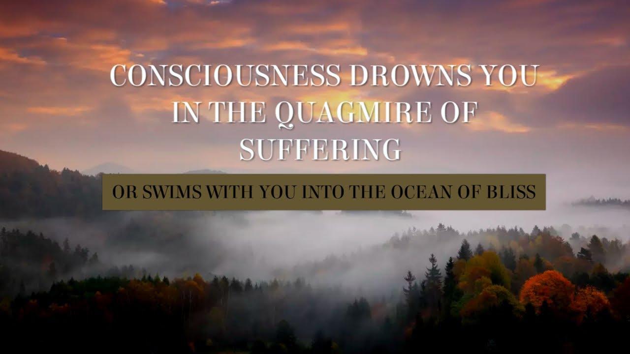 Watch Consciousness Drowns You In The Quagmire of Suffering or Swims With You Into The Ocean of Bliss on YouTube Watch Consciousness Drowns You In The Quagmire of Suffering or Swims With You Into The Ocean of Bliss on YouTube