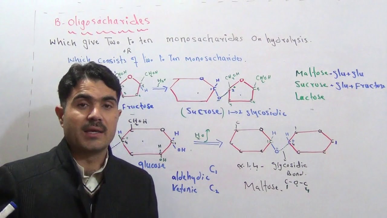 L-4 Oligosacharides , Glycosidic bond,  why Sucrose non reducing