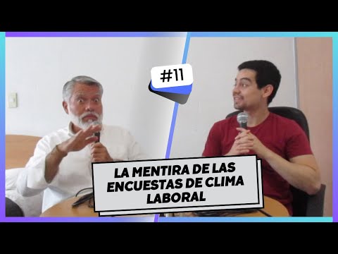 Optimiza tu empresa: Claves de la estructura organizacional, cultura y clima laboral en Google