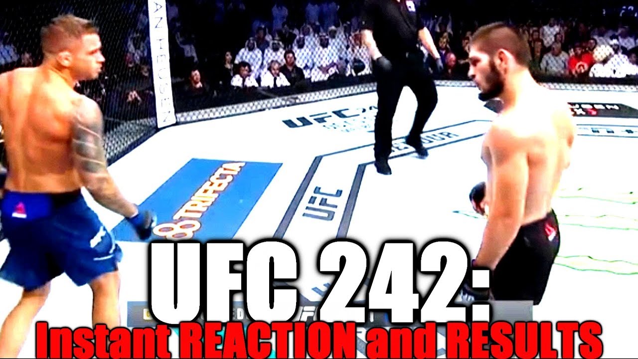 UFC 242 (Хабиб Нурмагомедов против Дастина Порье): реакция и результаты
