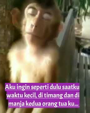 takut - idgaf Viral #Status_Wa_Story