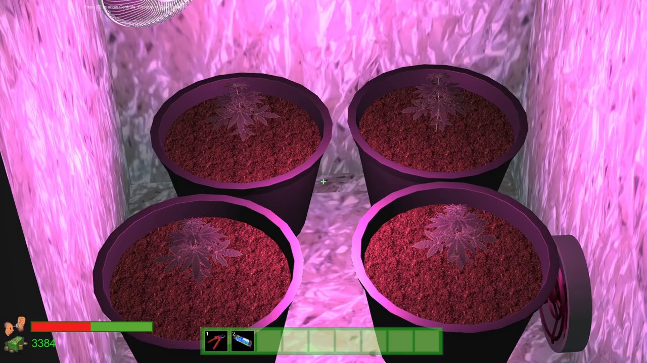 Dr Greenstuff comment faire des boutures avec une plante mère