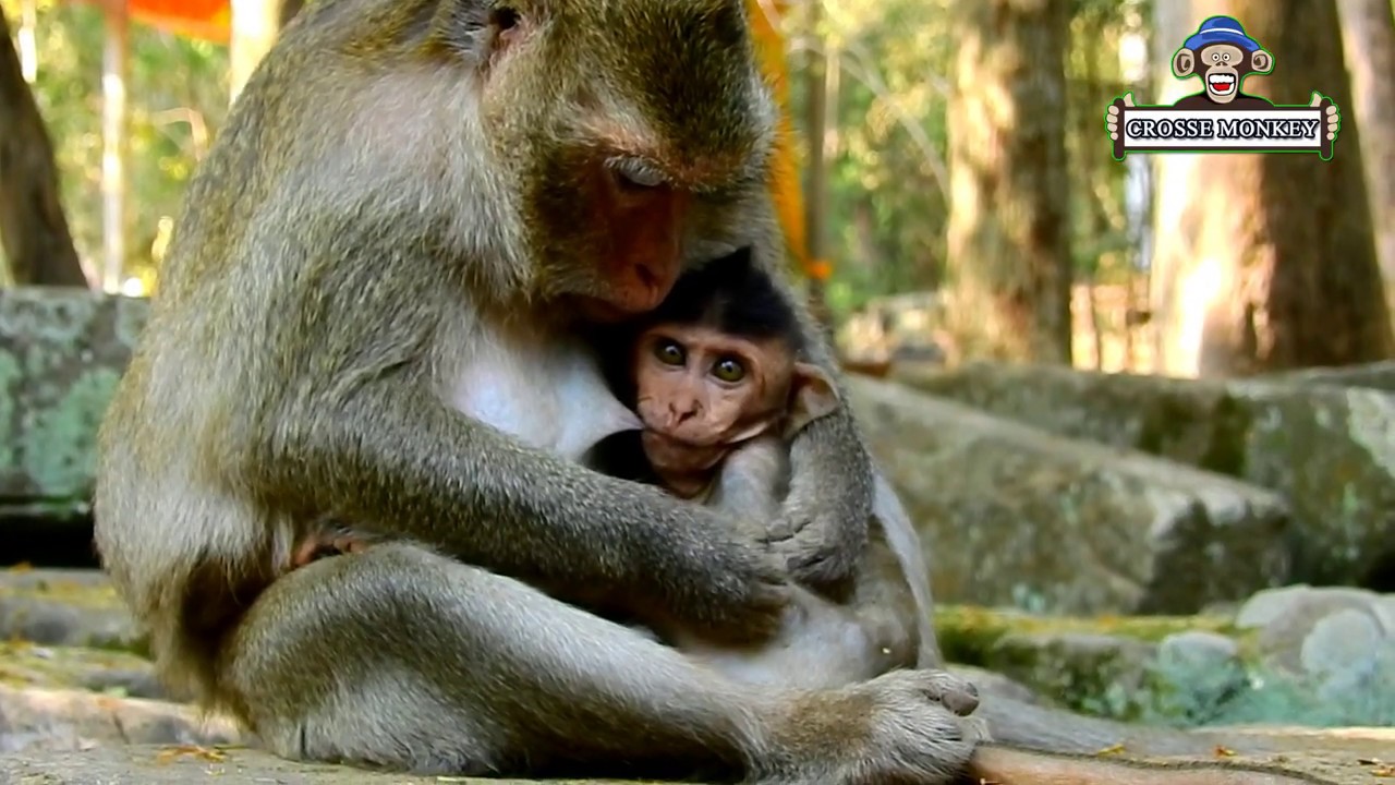 Very nice day!mom Daimond feeding milk and nurse baby Dustin for sleep well, Dustin so comfortable