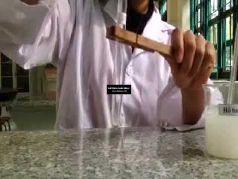 Video Thí nghiệm thủy phân hồ tinh bột bằng axit HCl - youtube