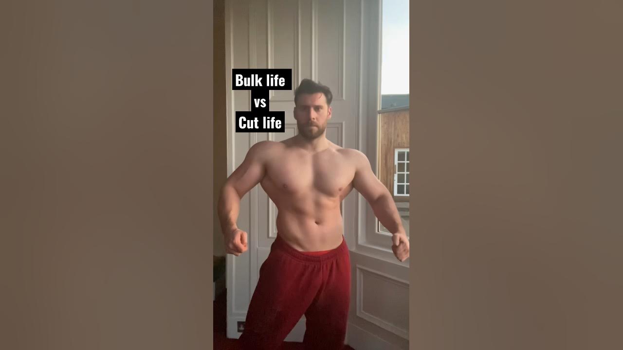 Bulking vs. Cutting: How to Do Each Successfully • Dioxyme