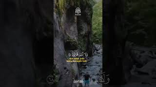 Download Lagu Murottal Surat Az zukhruf Ayat 68-70 ❤️ #quran #murottal #alquran MP3