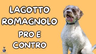 Lagotto Romagnolo: Pro e Contro by Mondo Cane 23,032 views 1 year ago 5 minutes, 20 seconds