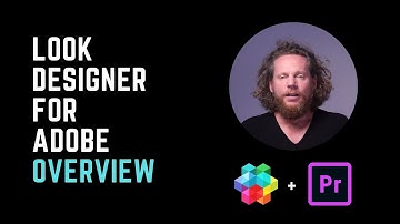 Look Designer for Adobe Premiere - Overview