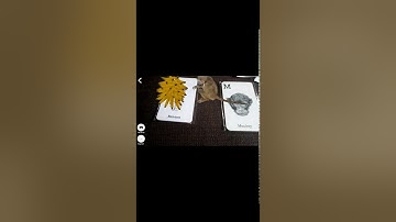 Augmented Reality: Octagon Studio